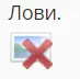 1686417739355.webp