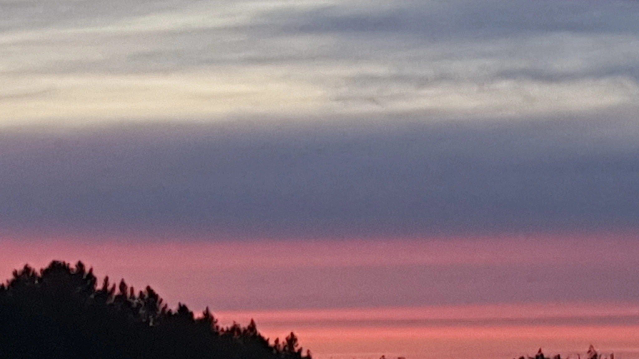 1686422001161667749.webp