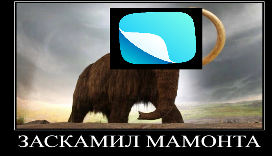 1686611191519.webp