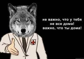 1686801255346.webp