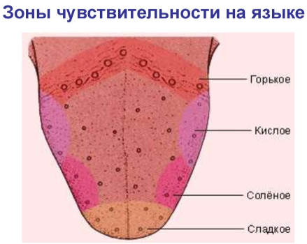 1687039345001.webp