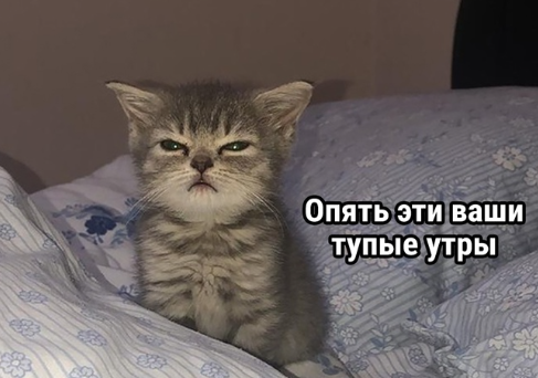 1687241889647.webp