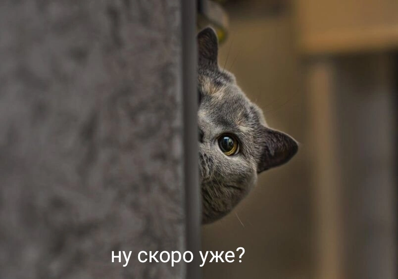 1687455602181367931.webp