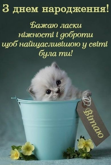 1687465753099.webp