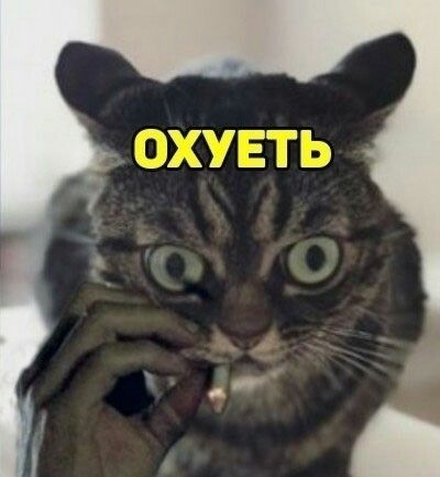 1687593993762.webp