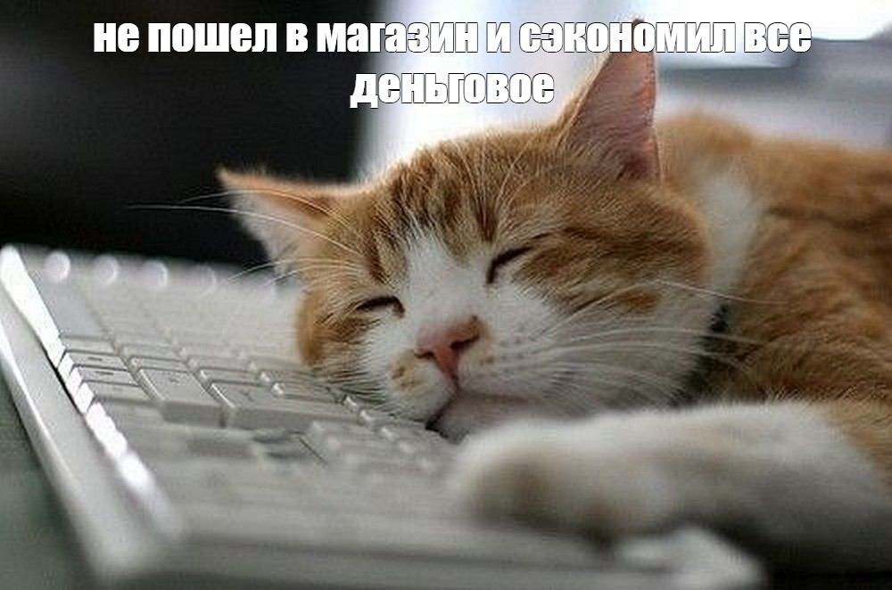 1687601851080.webp