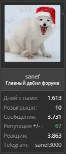 1687902502715.webp