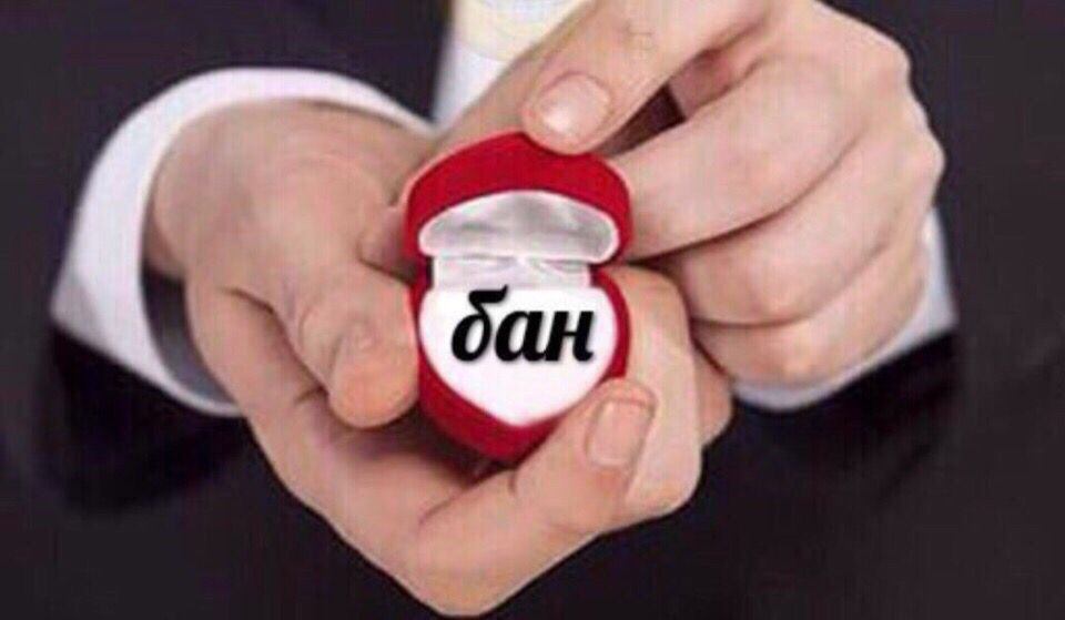 1687955850668.webp