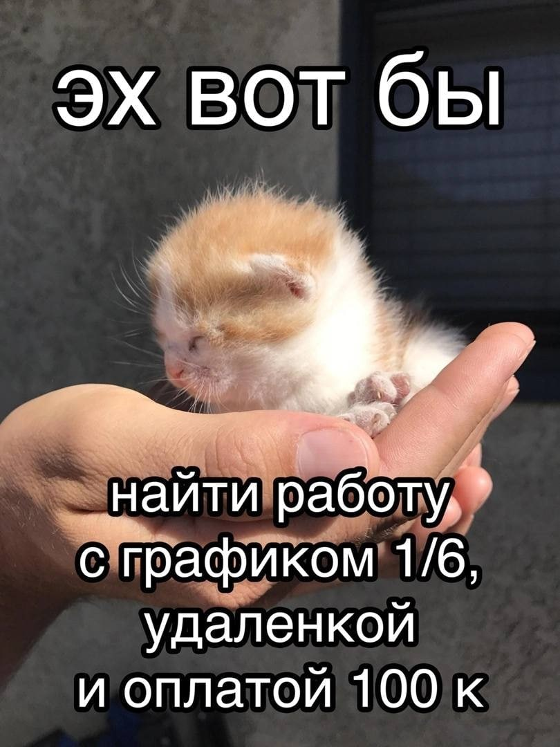 1687966498268.webp
