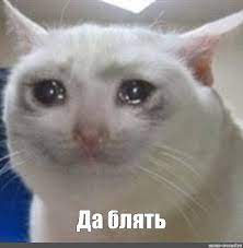 1688058789452.webp