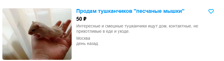1688160941166.webp
