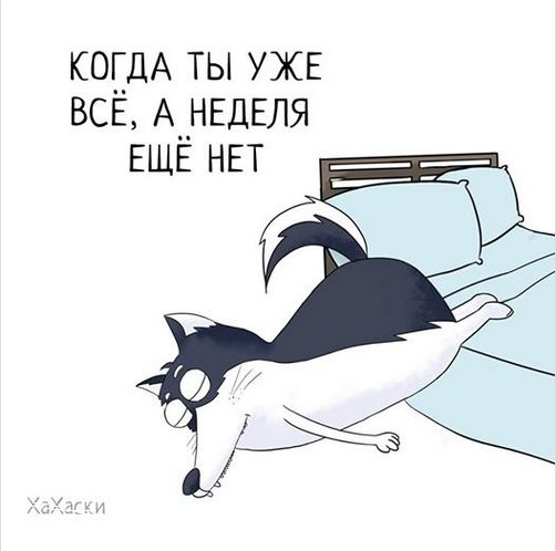 1688374094869.webp