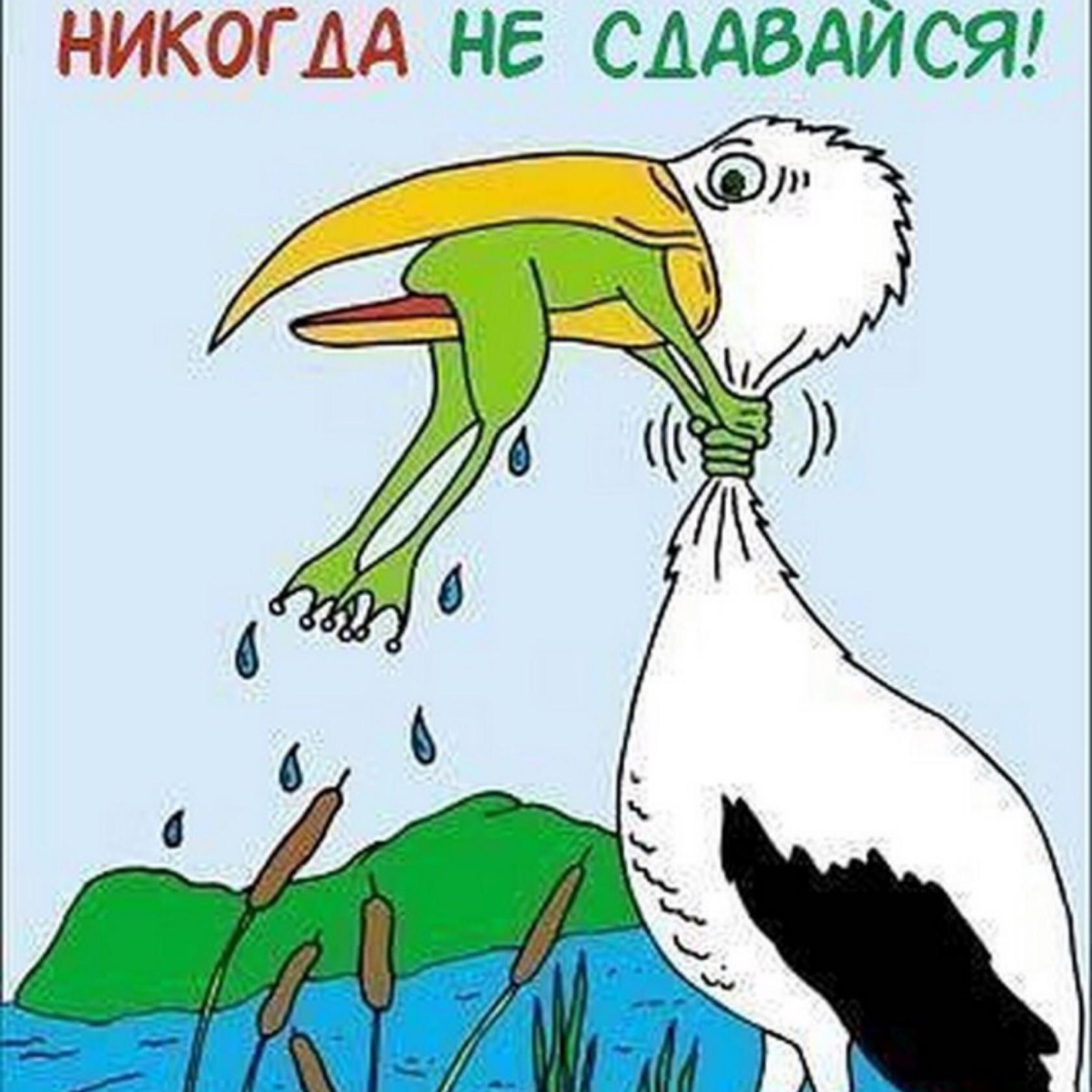 1688422228866.webp