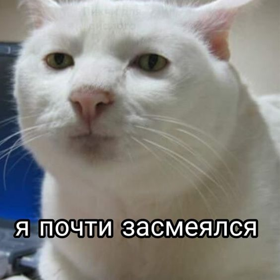 1688577831295.webp