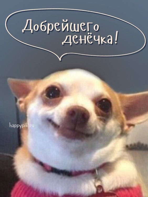 1688579152180.webp