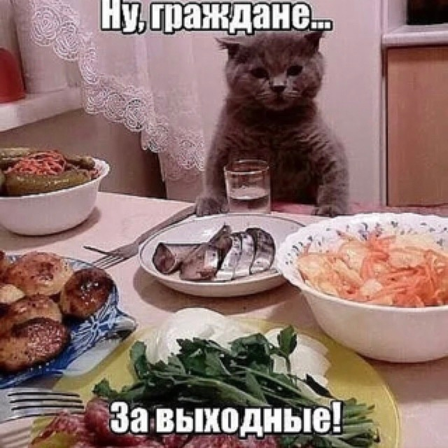 1688816923819.webp