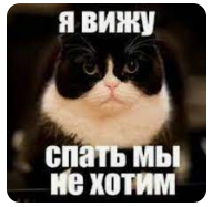 1688854366241.webp