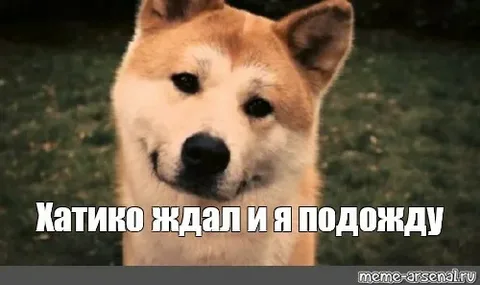 1689339420474.webp