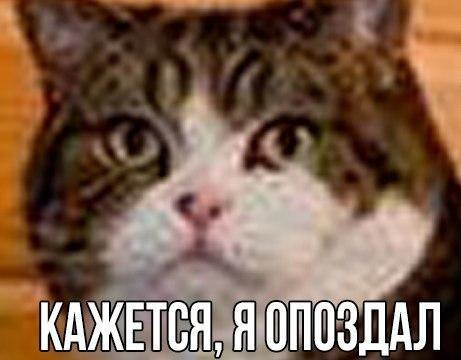 1689606810162.webp