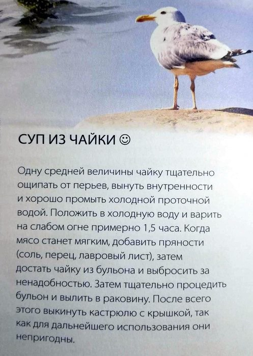 1689954974774.webp