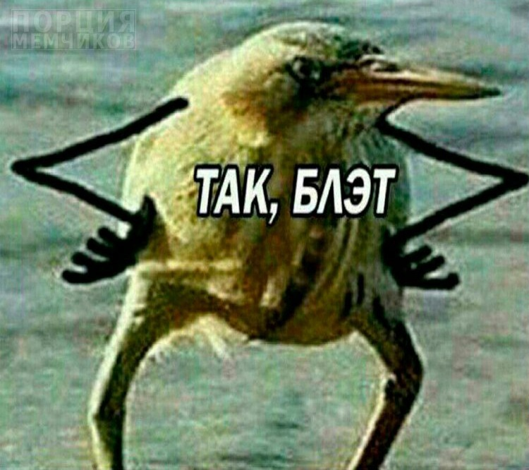 1690343420960.webp
