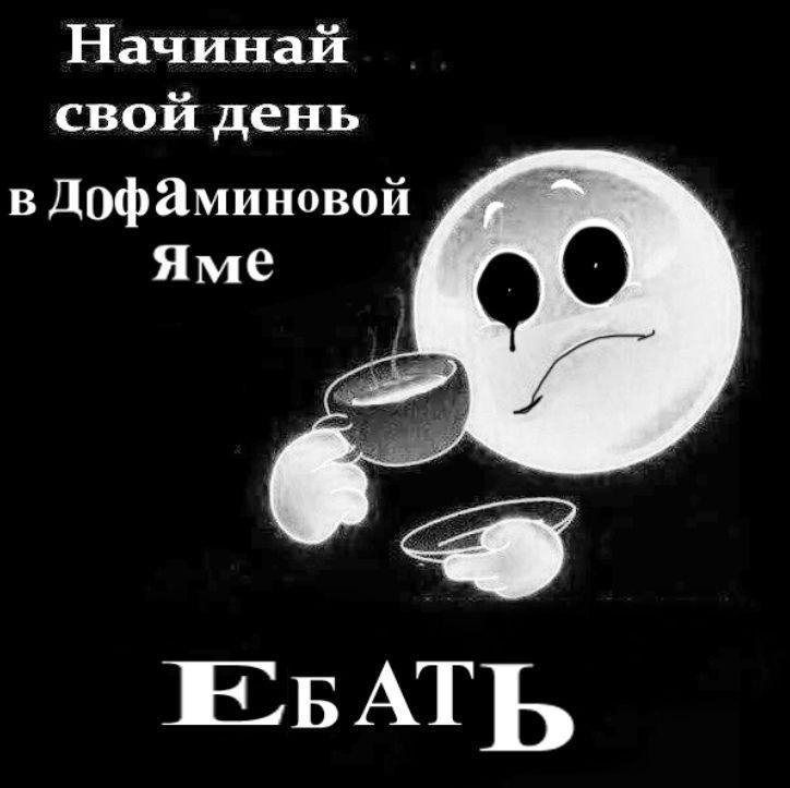 1690365046263.webp