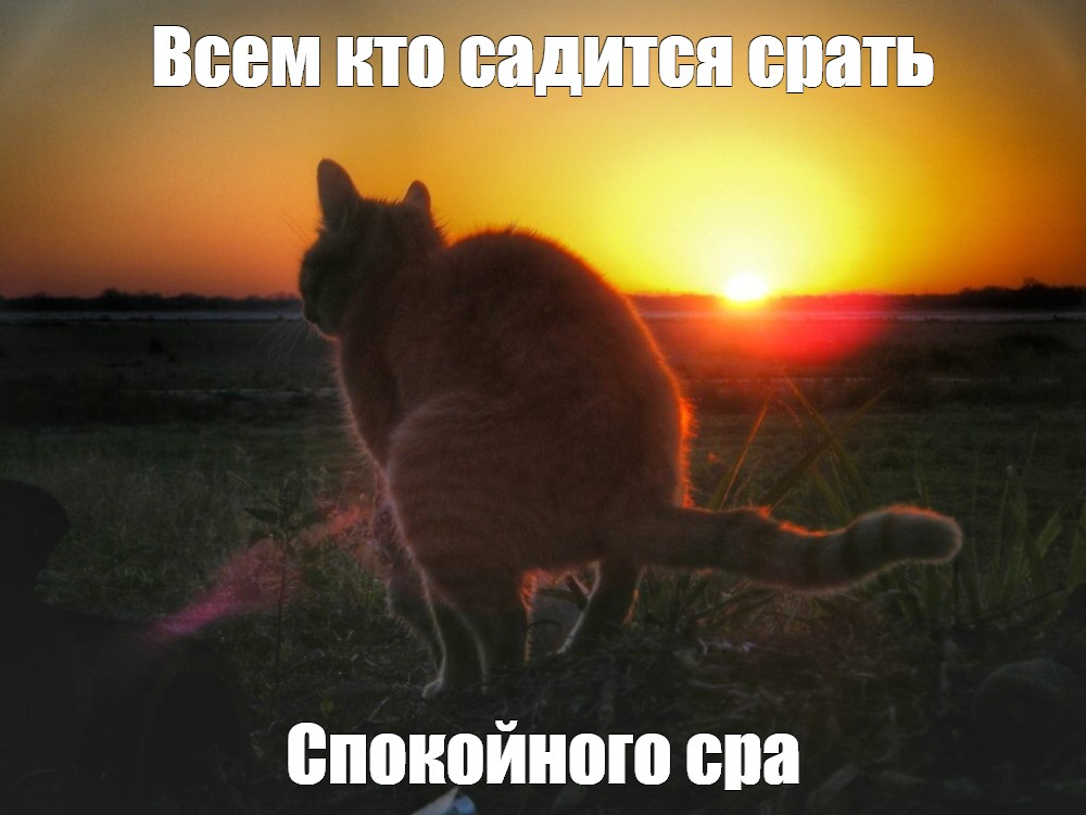 1690365370625.webp