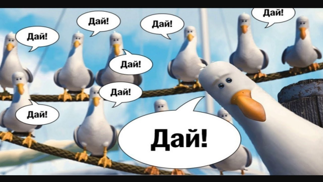 1690793595636.webp