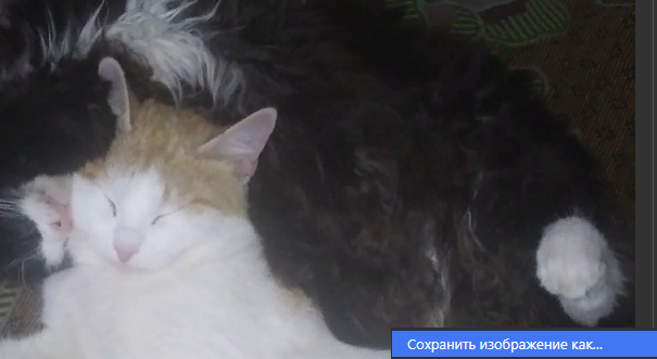 1691360261209.webp