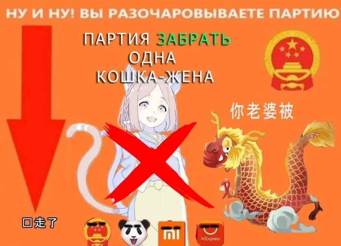 1691500674671.webp
