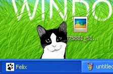 1692136071157.webp