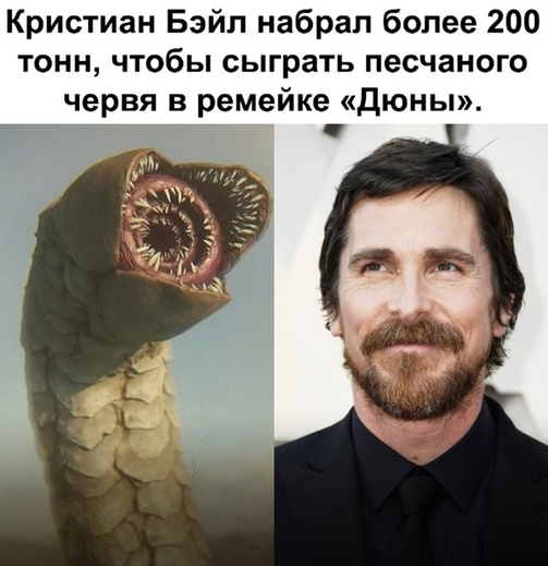 1692872589476.webp