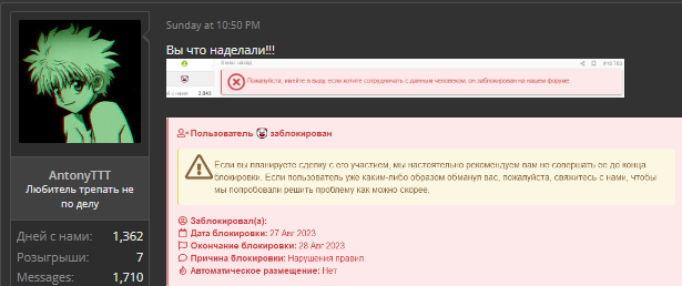 1693262528791.webp
