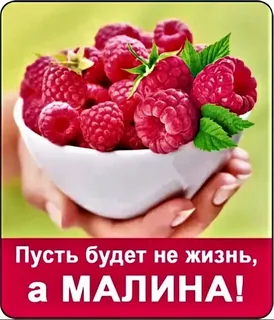 1693680703253.webp