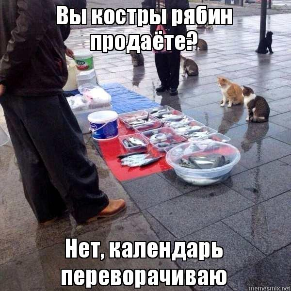 1693742417064.webp
