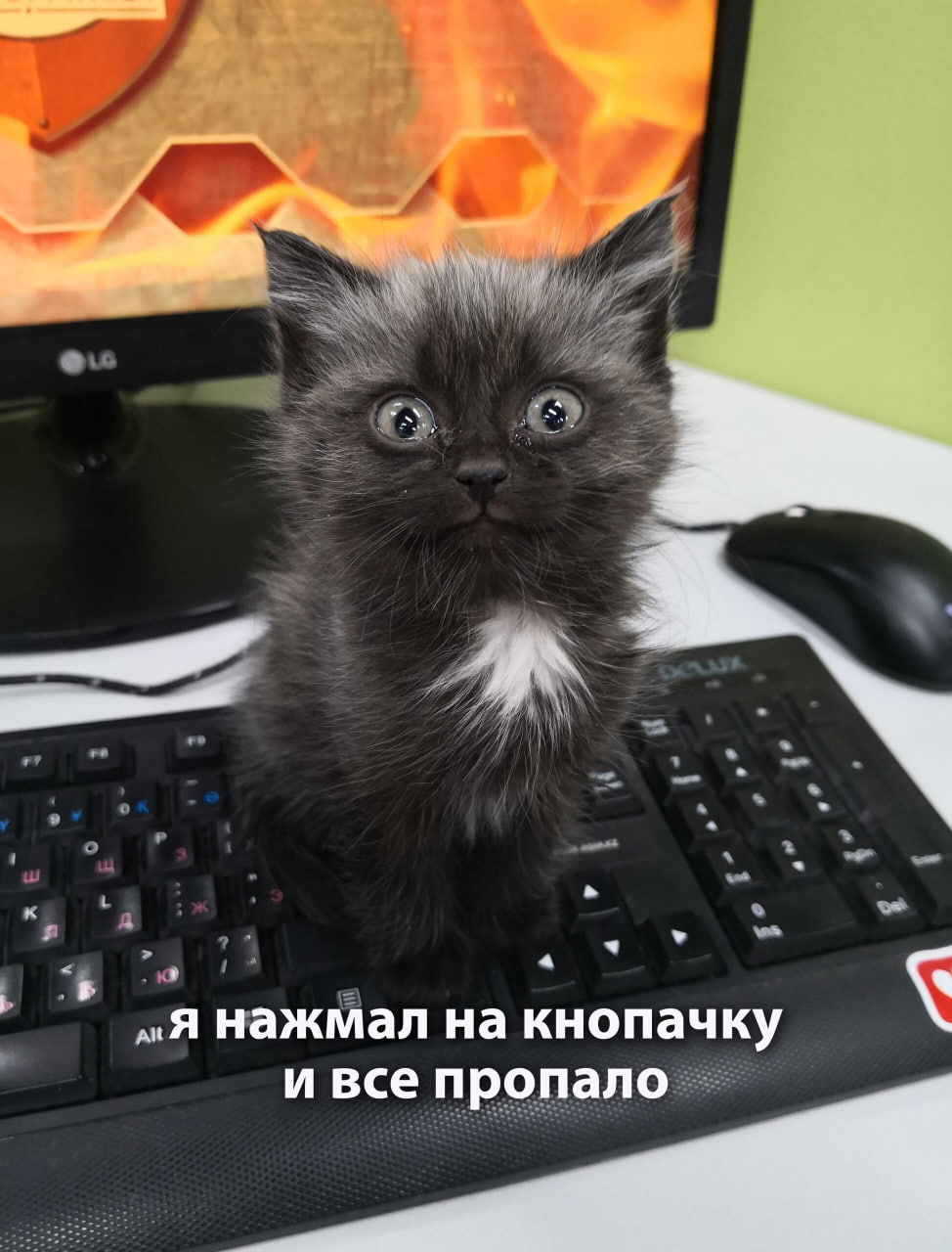 1694186356256.webp