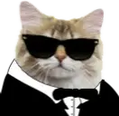 1694340016233.webp