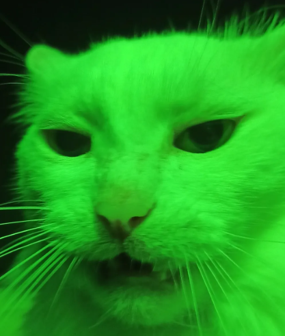 1695026297755.png