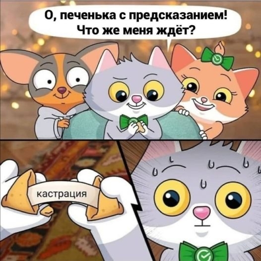 1695113907148656478.webp