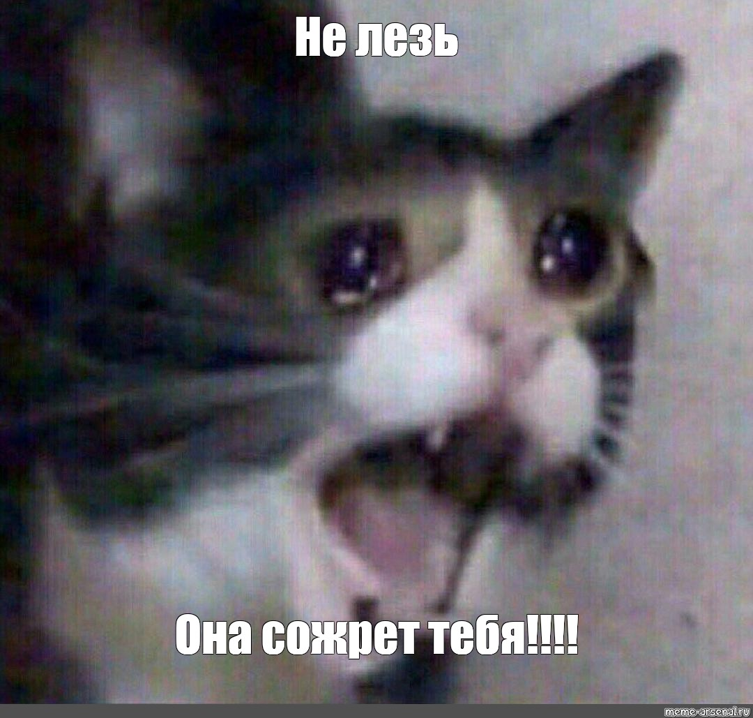 1695501741672.webp