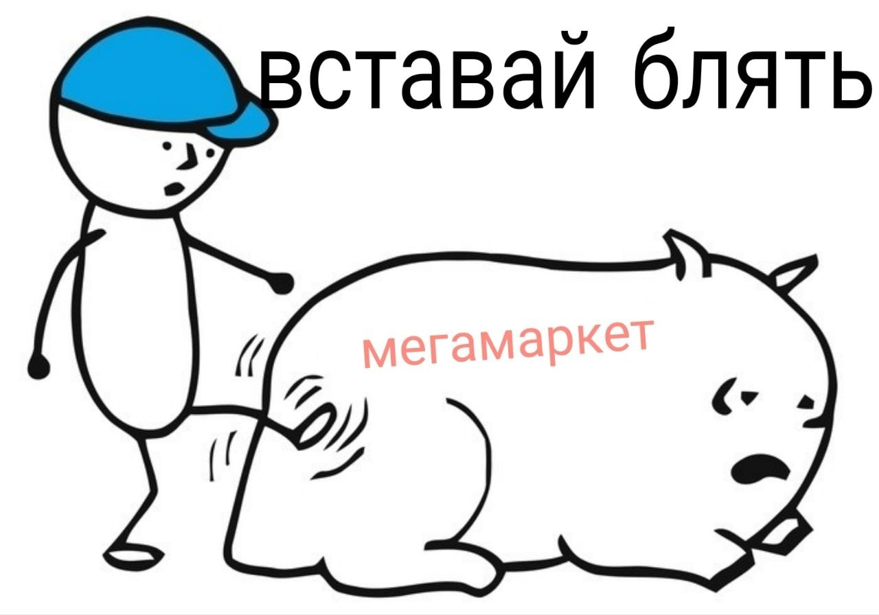 1695978498681.webp