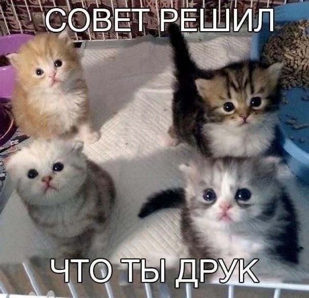 1696104164960.webp
