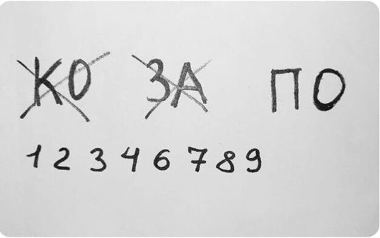 1697393898873.webp
