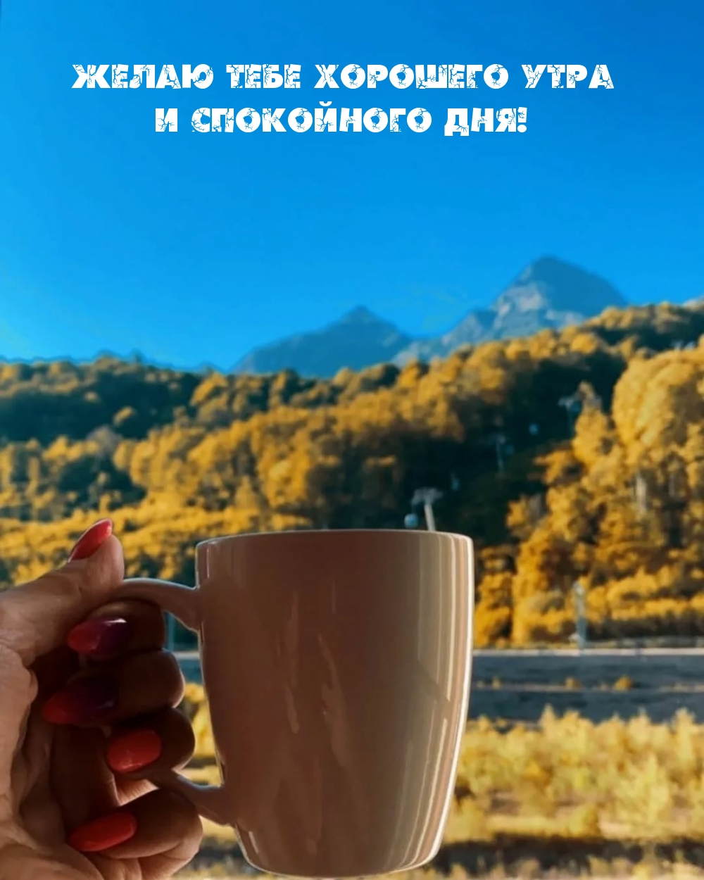 1697573673300.webp