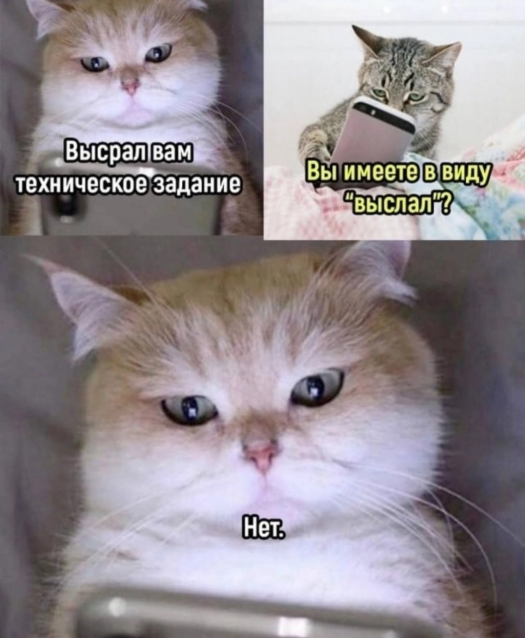 1697579666505.webp