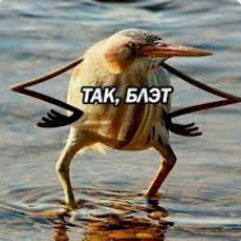 1697734056593.webp