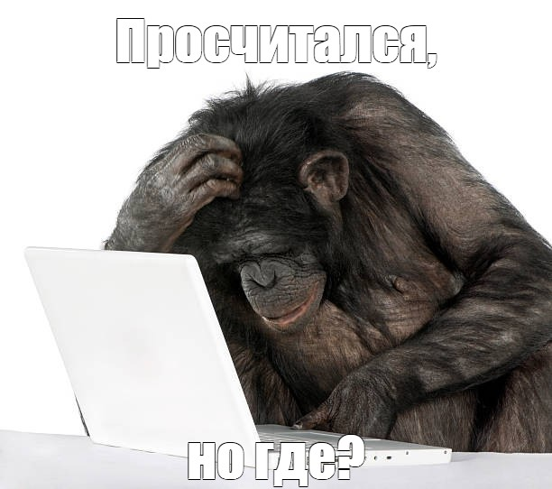 1698262734241.webp