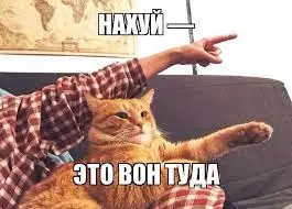 1698354088441.jpeg