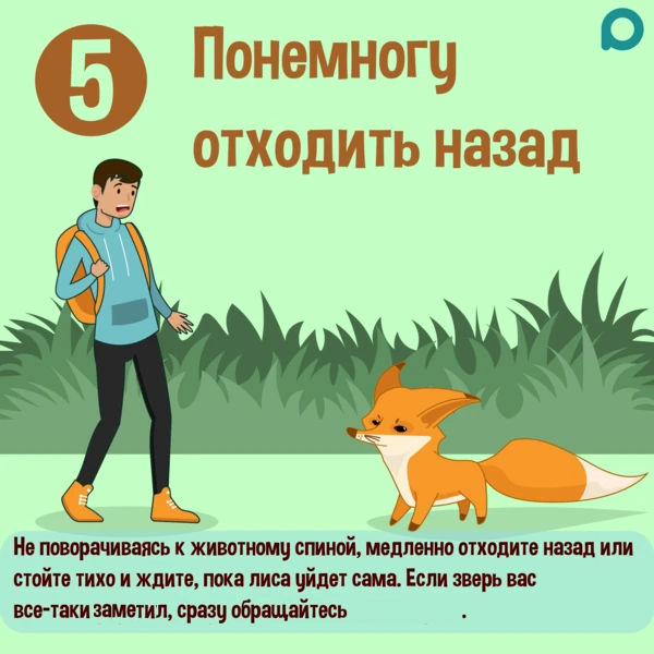 1698643580636.webp