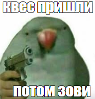 1698924654544.png